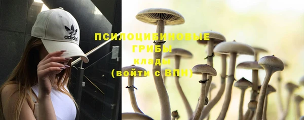 дмт Магас