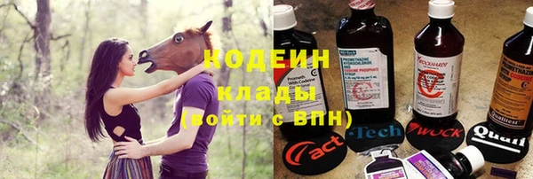 стафф Майский
