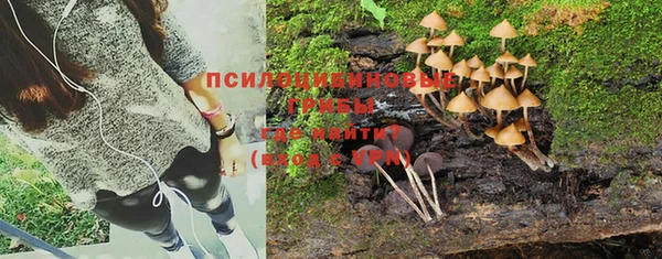 стафф Майский